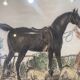 Antique engraving , the hunter to the discovery early XX century