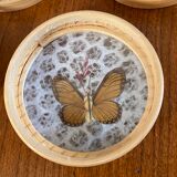 Tray and 6 coasters with naturalized butterflies