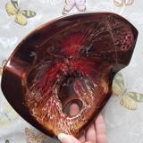 Decorative ceramic ashtray with empty pocket from Vallauris Vintage