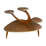 Table for plants 50s