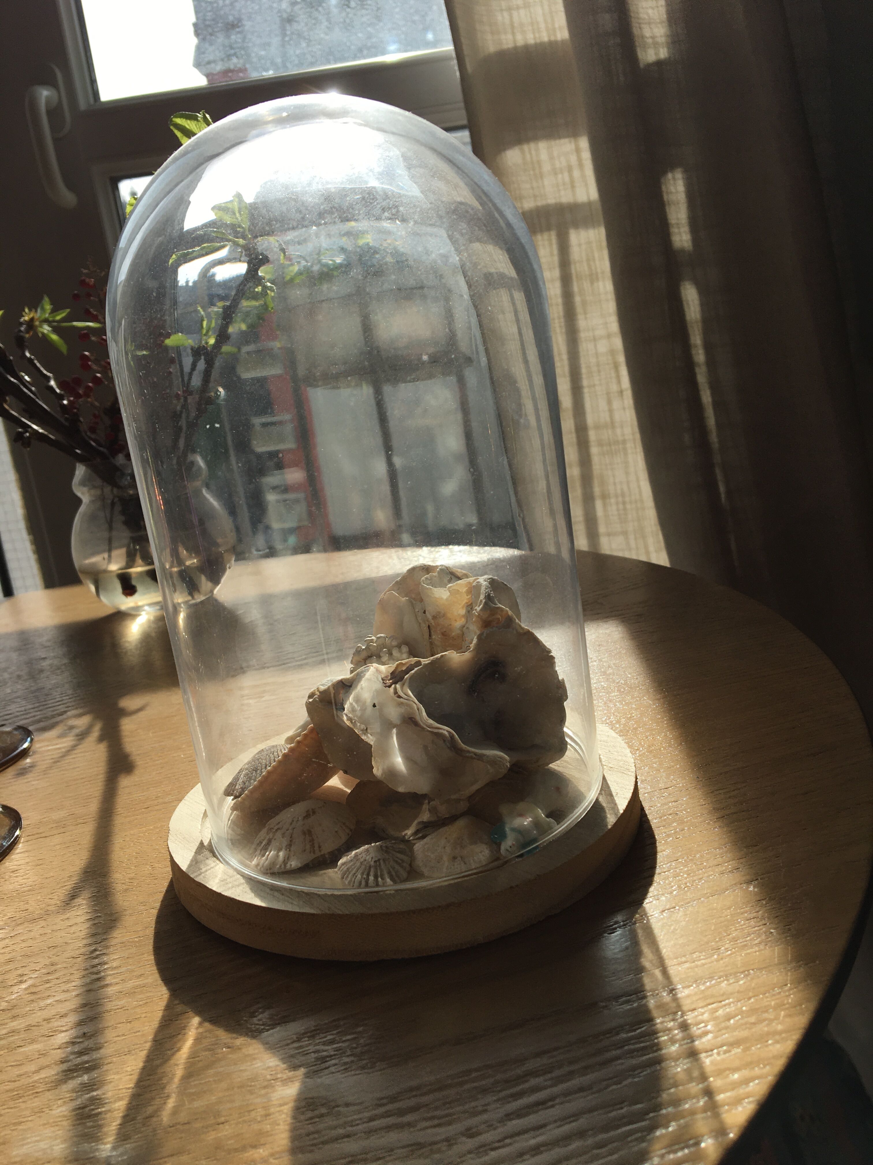 Presentation glass bell