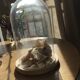 Presentation glass bell