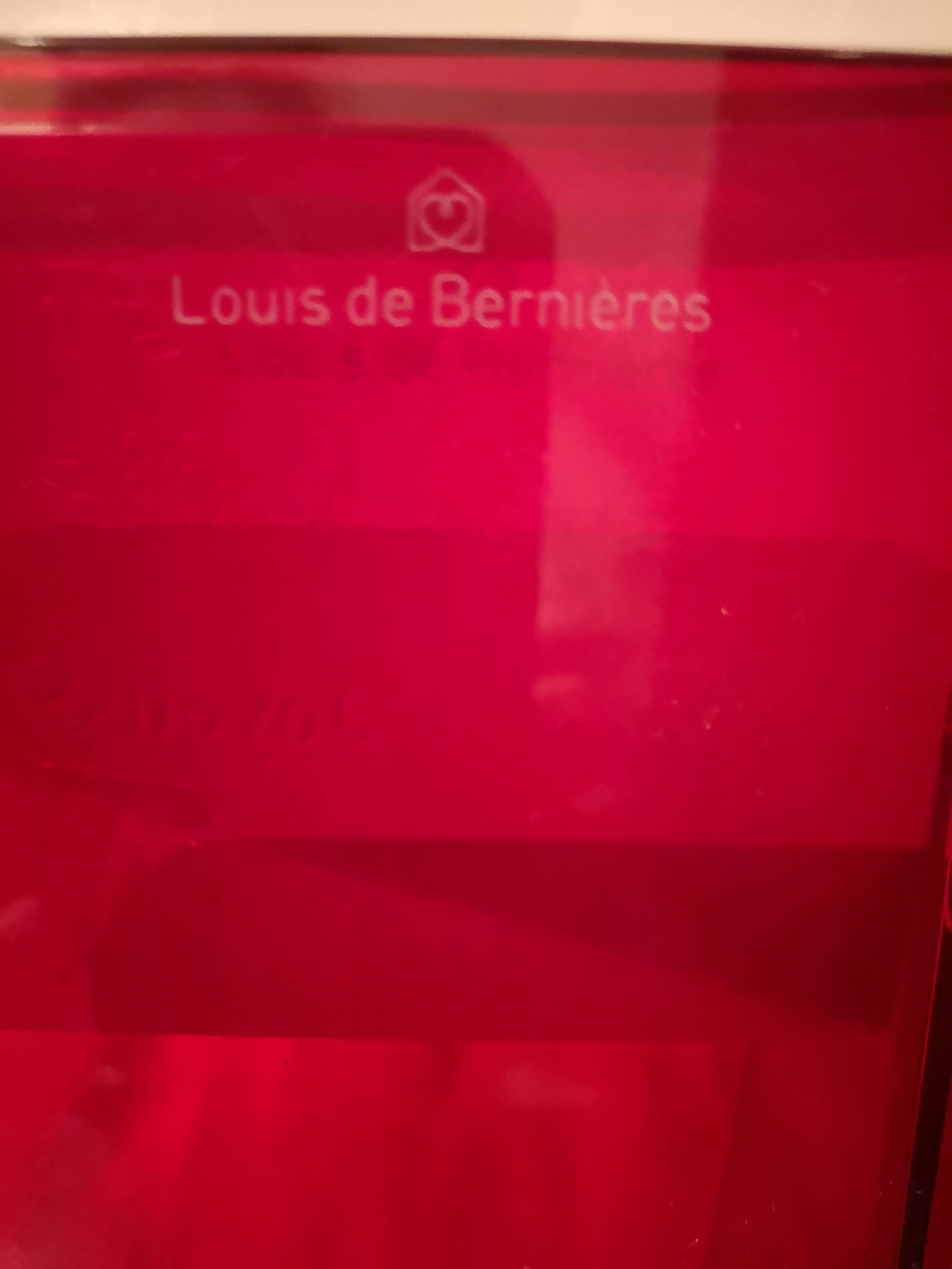 Red Plexiglas Bookshelf