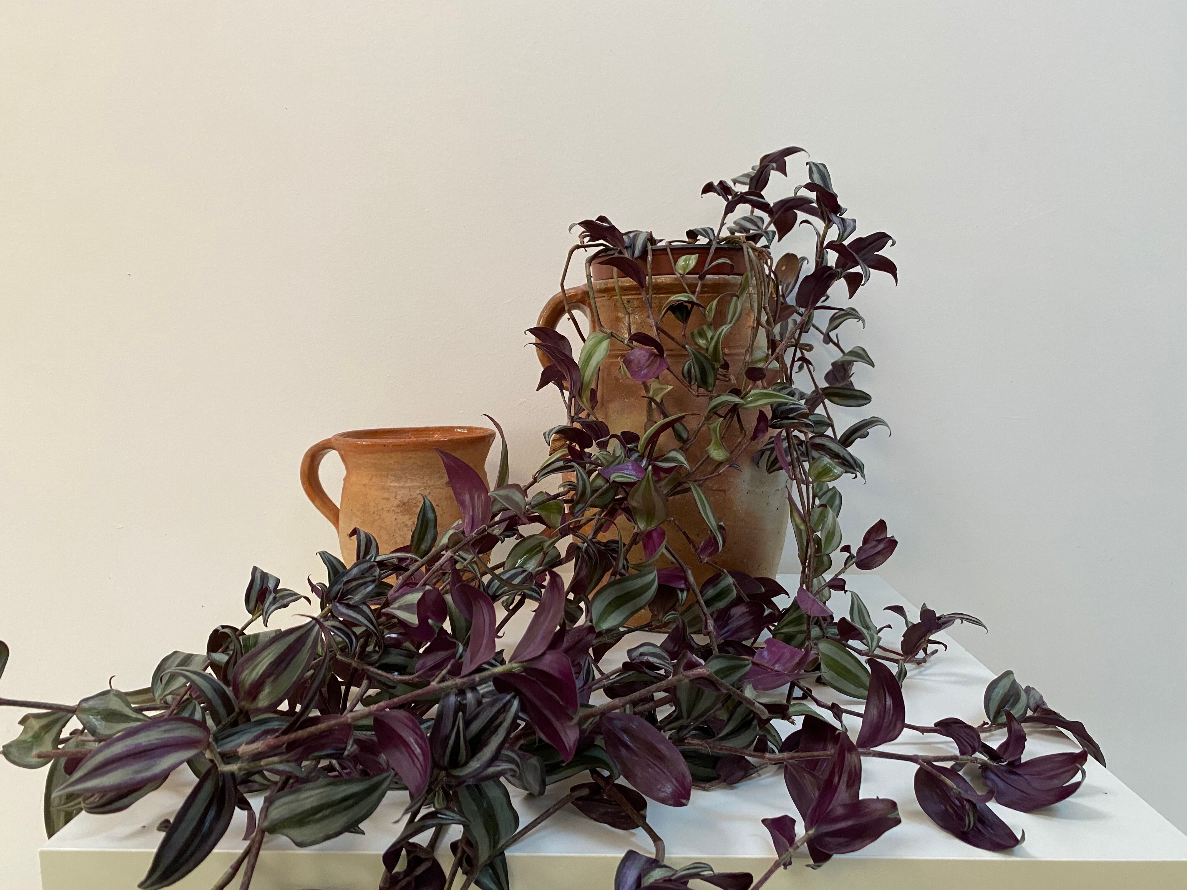 Old sandstone pitcher pot