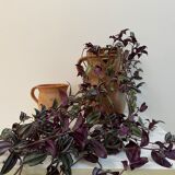 Old sandstone pitcher pot