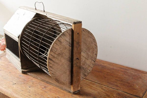 Cage à écureuil, 19ème siècle, bois et métal