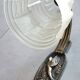 Art Deco wall light, silver-plated bronze, frosted glass, stylized bird decor