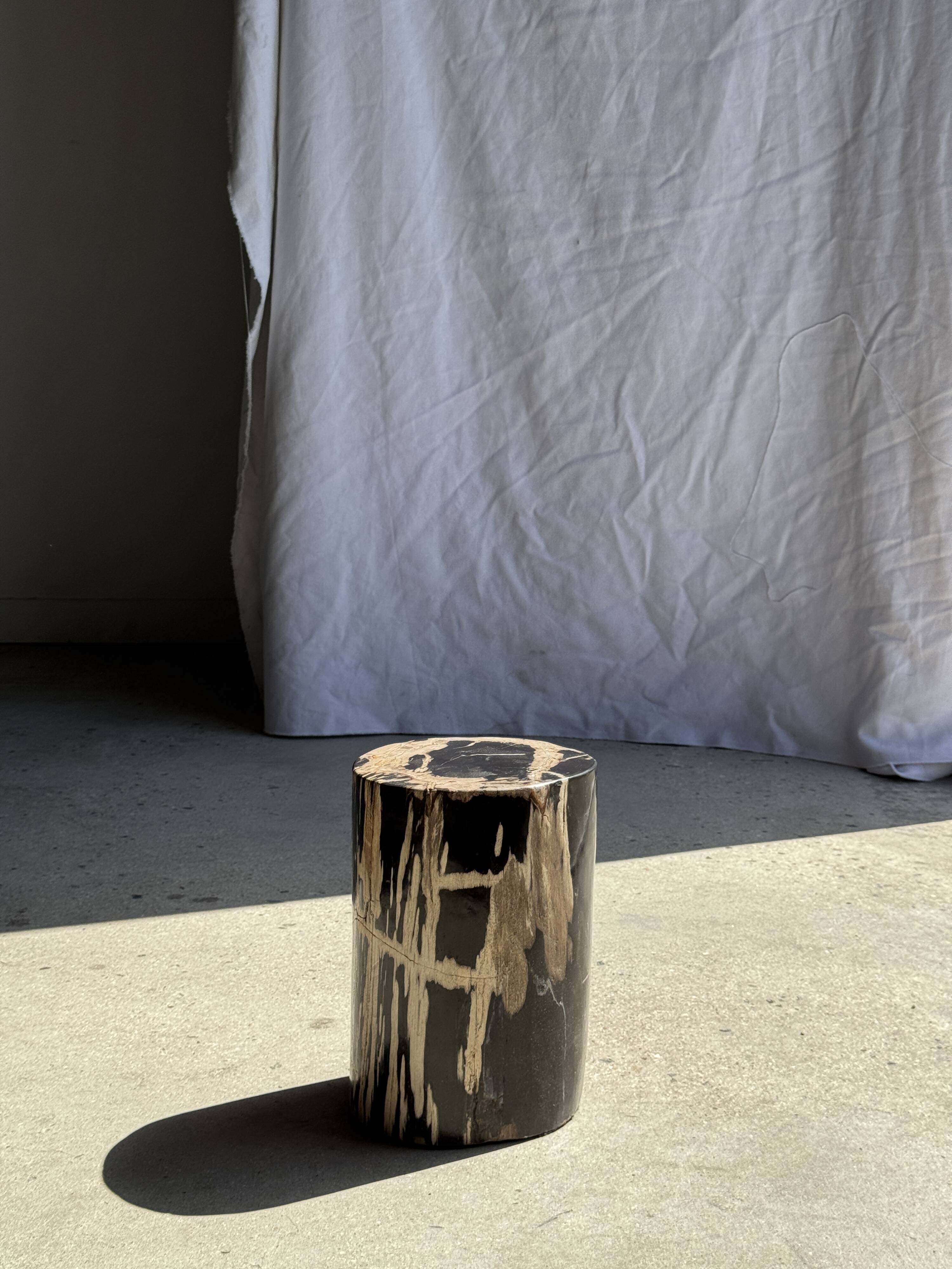 Petite table d'appoint en bois pétrifié cœur noir écorce stries noires et b