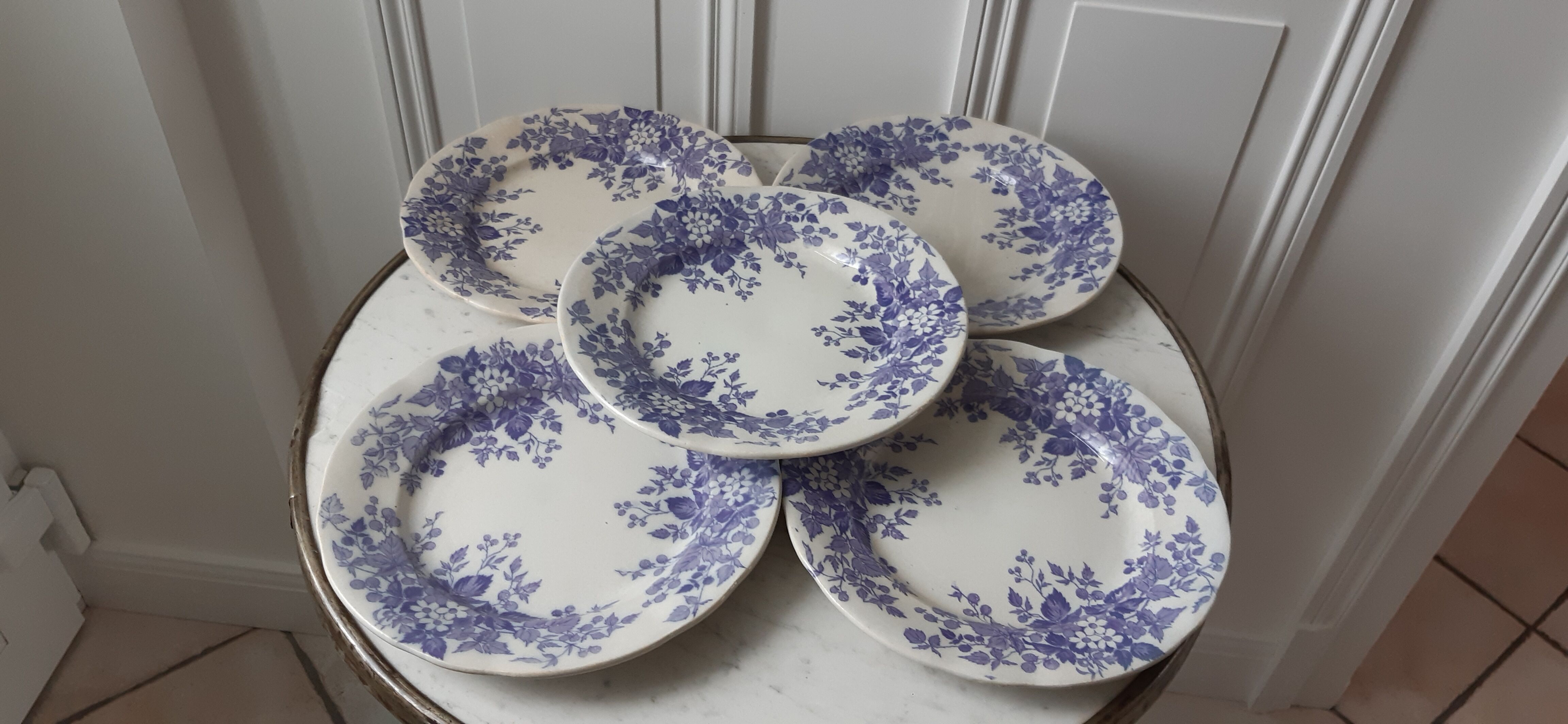 Lot de 5 assiettes plates Terre de Fer U&C Sarreguemines "Rubia" XIXème