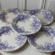 Set of 5 flat plates Terre de Fer U&C Sarreguemines "Rubia" XIXth