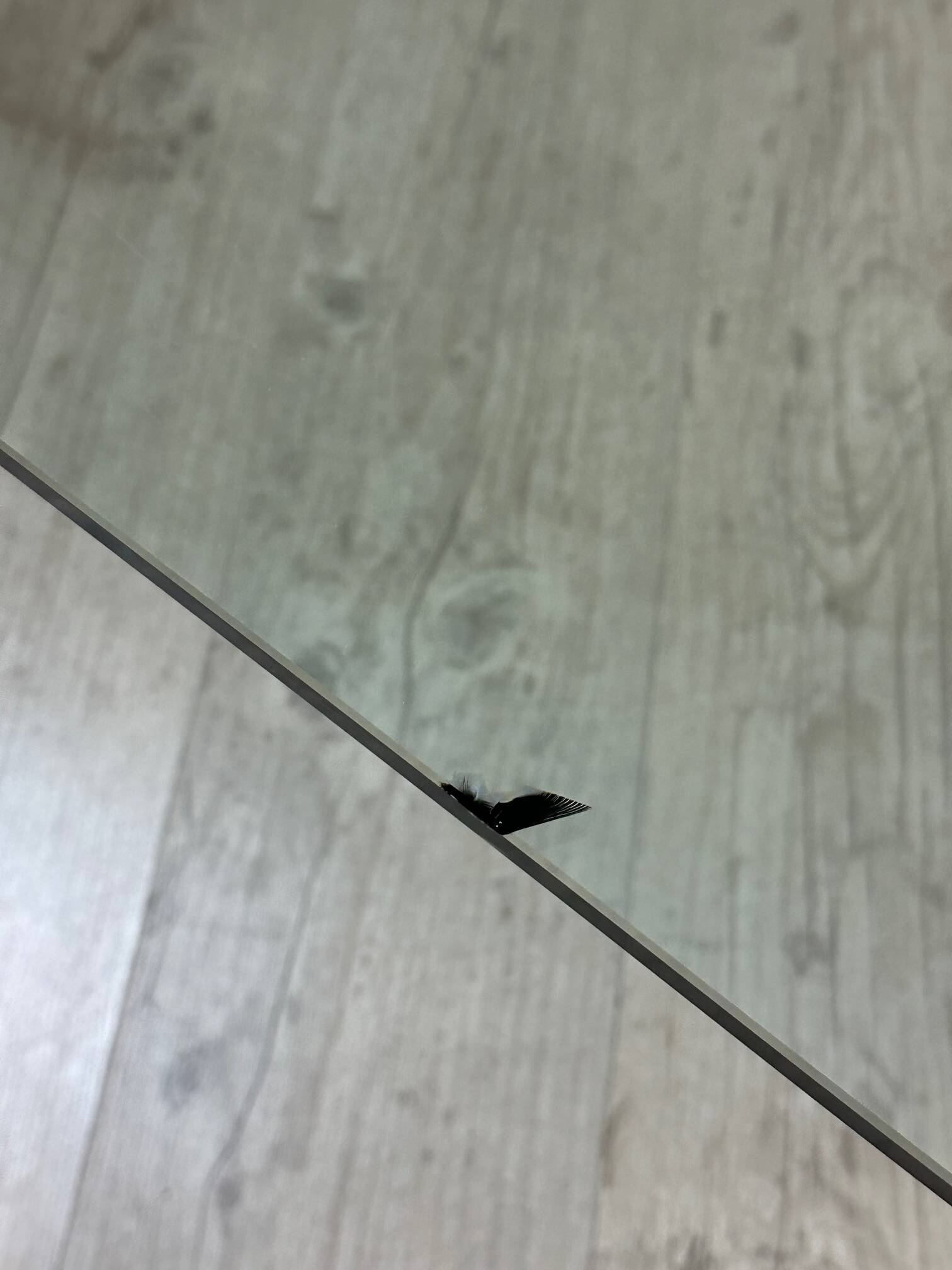 Reflex glass coffee table