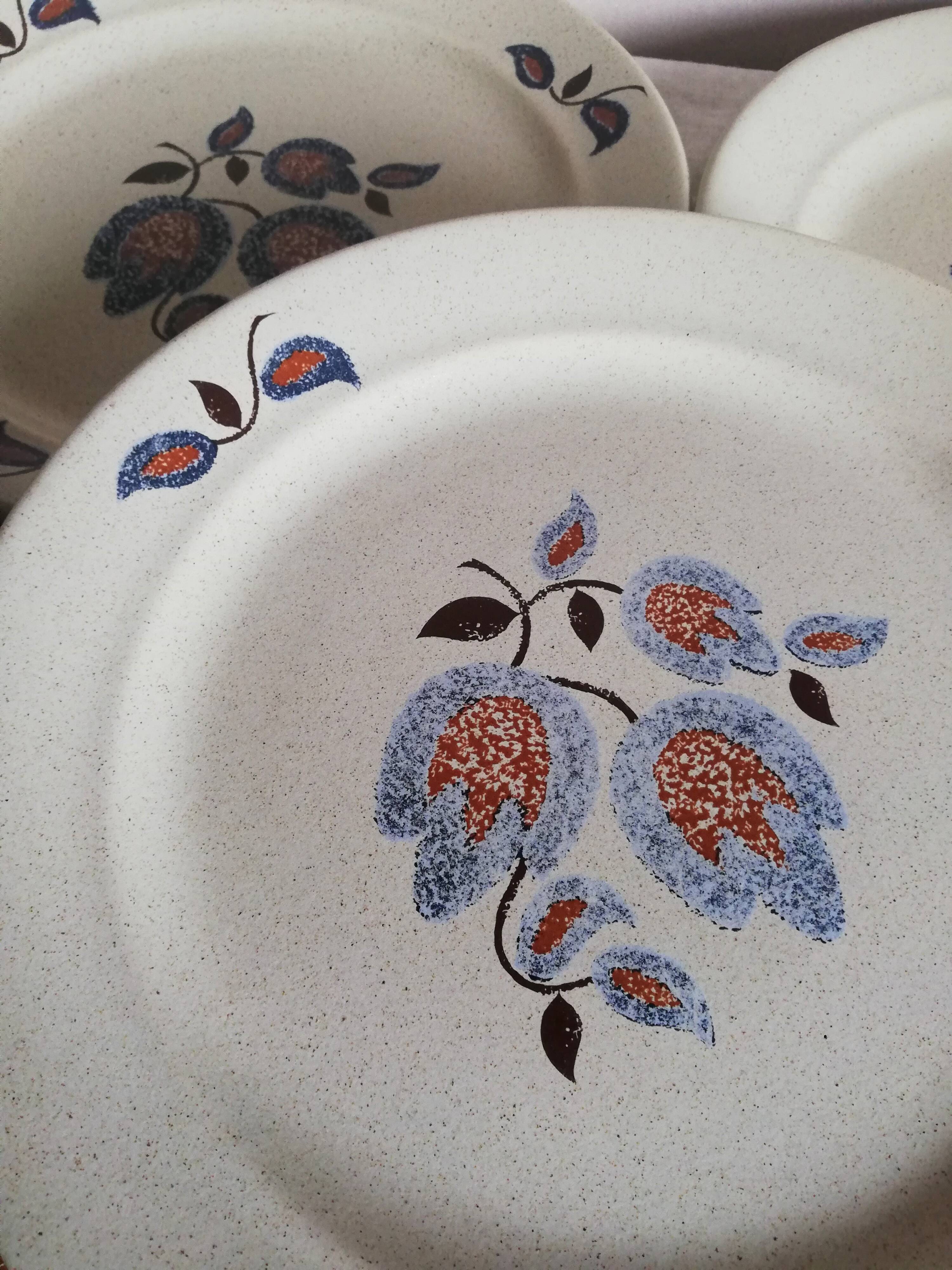 Serving 20 flat plates Sologne de Saint Amand