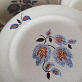 Serving 20 flat plates Sologne de Saint Amand