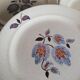 Serving 20 flat plates Sologne de Saint Amand