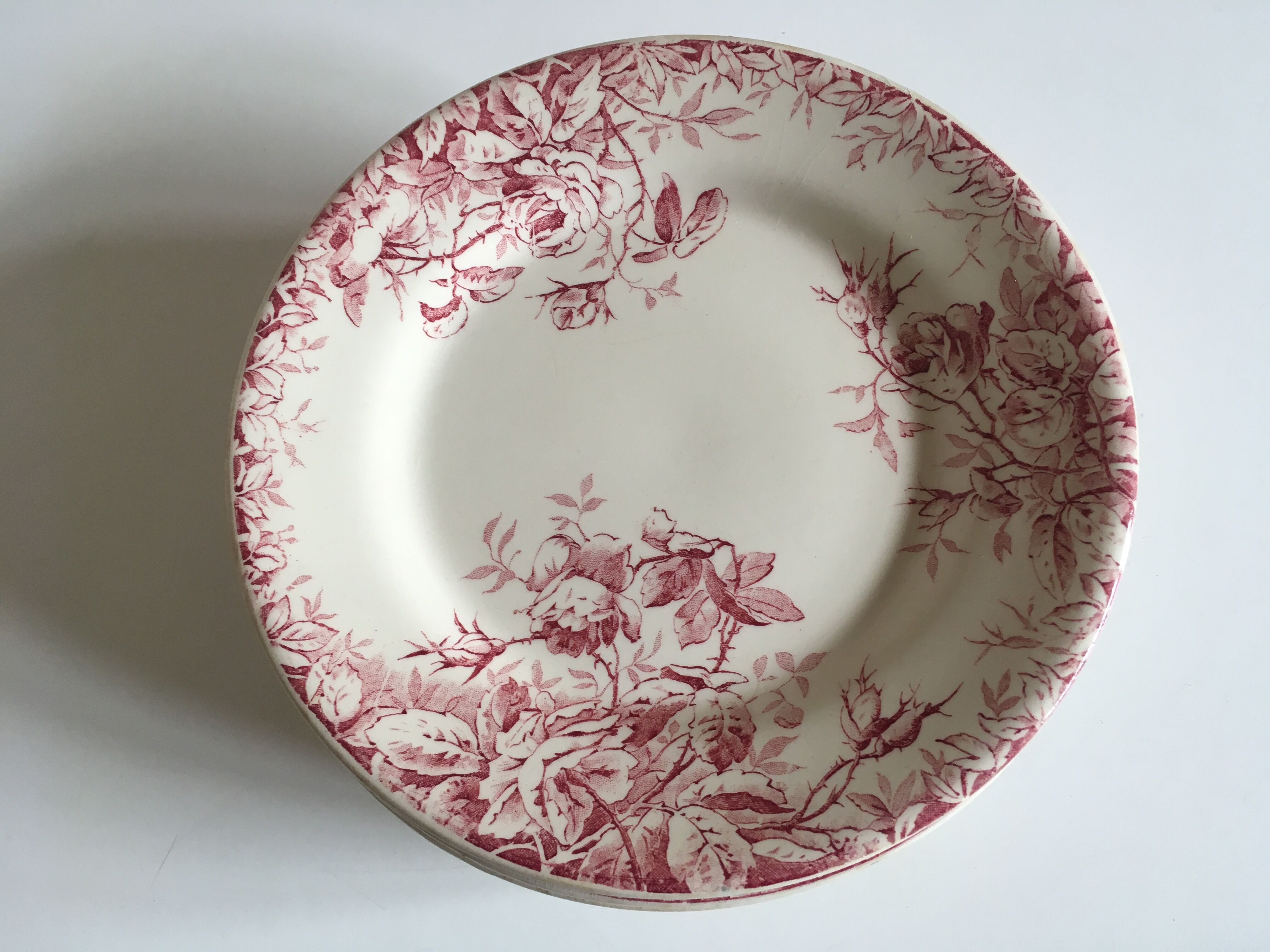 Series of 11 plates flat 19th in faience of Gien