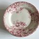 Series of 11 plates flat 19th in faience of Gien