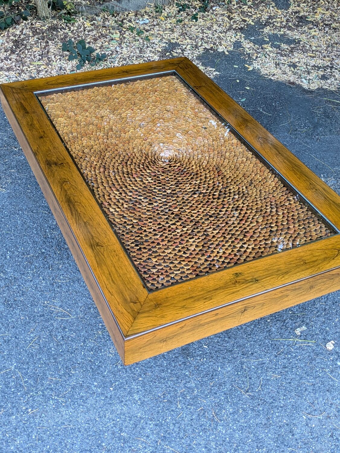 Roméo Rega Coffee Table, Pine Scales, Vintage 1970 Design