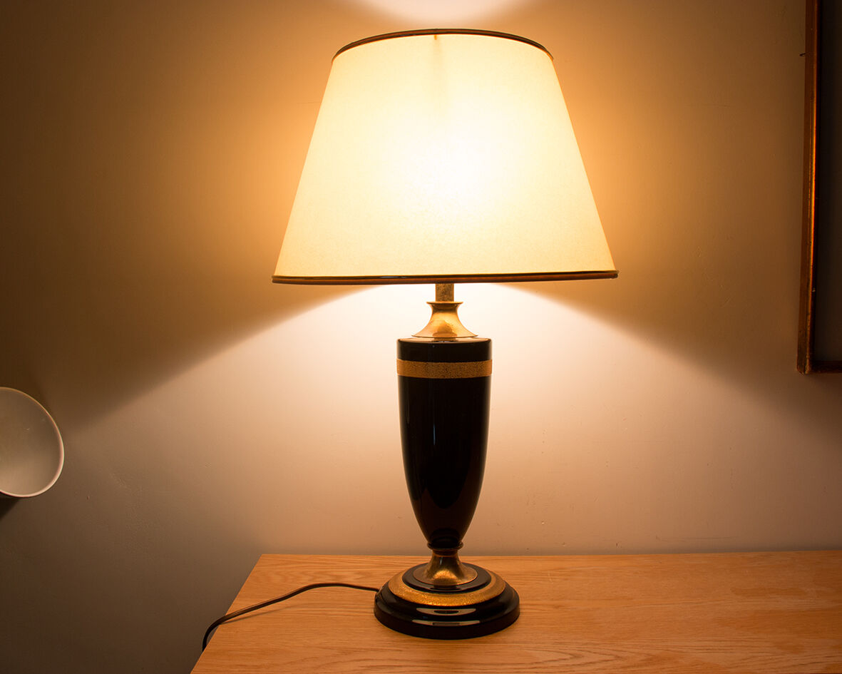 Lamp The Black dolphin