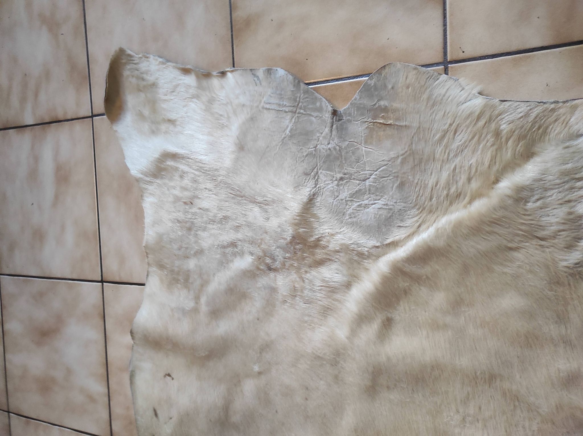 Carpet descent of vintage bed in cowhide 164x176 cm with white hair