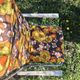 Vintage folding camping chair in canvas with brown and yellow flower print 70s
