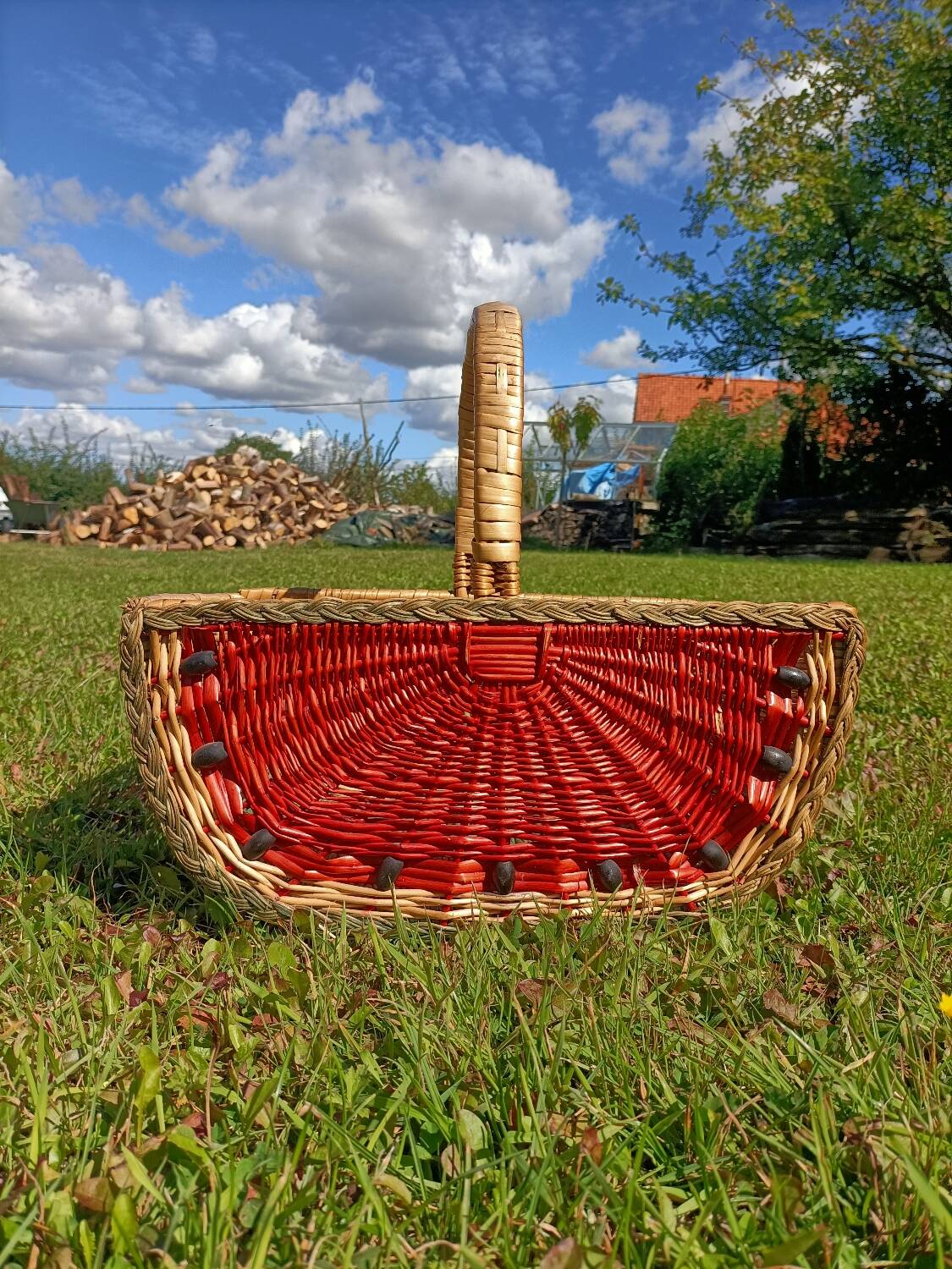 Retro Watermelon Basket