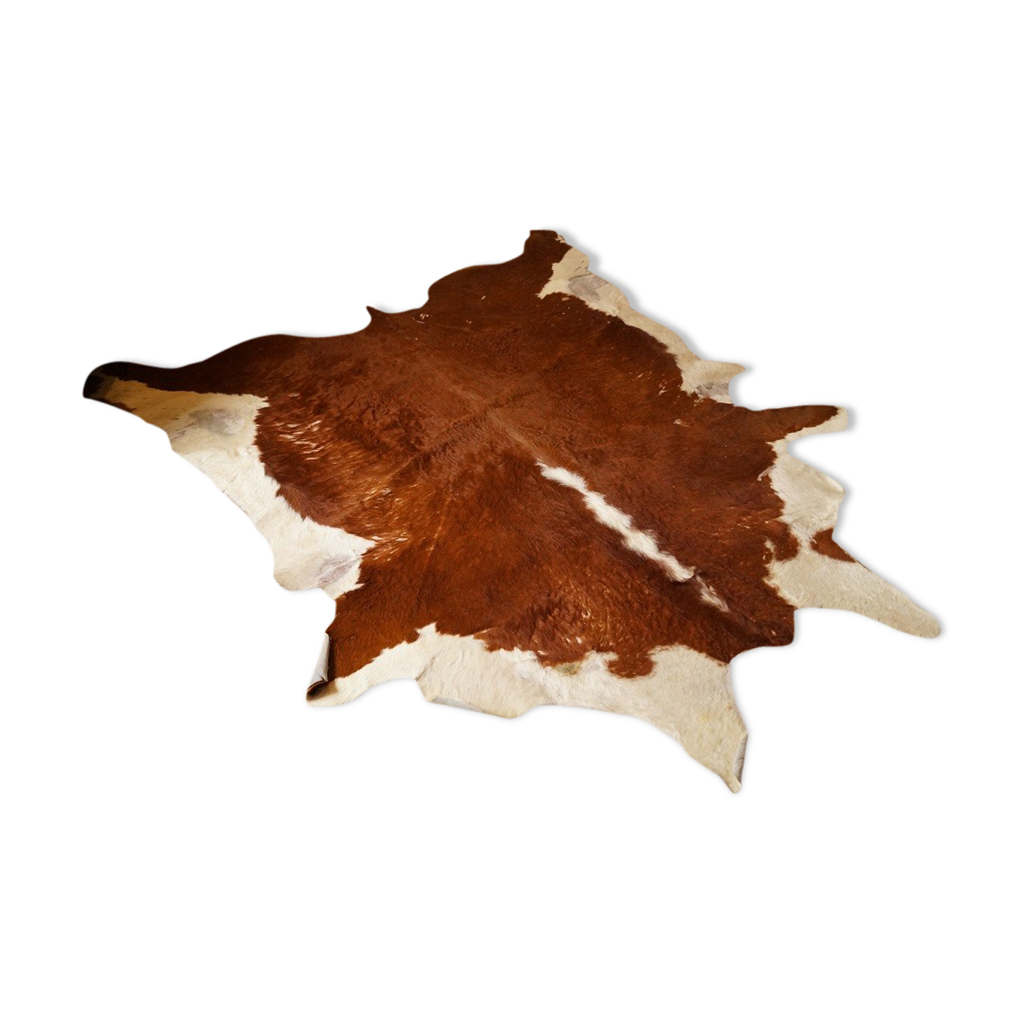 Rug cow skin 1960