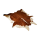 Rug cow skin 1960