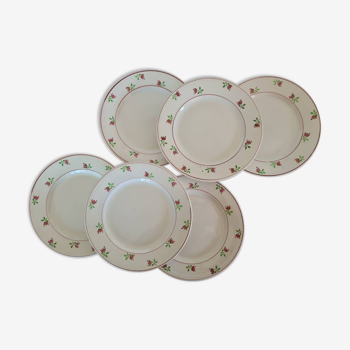 Set of 6 flat plates old Model Stella from the French manufacture of Digoin