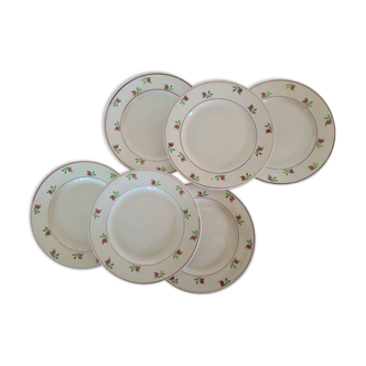 Set of 6 flat plates old Model Stella from the French manufacture of Digoin