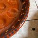5 snail plates