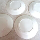 Flat plates Birds