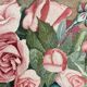 Aquarelle aux roses vintage