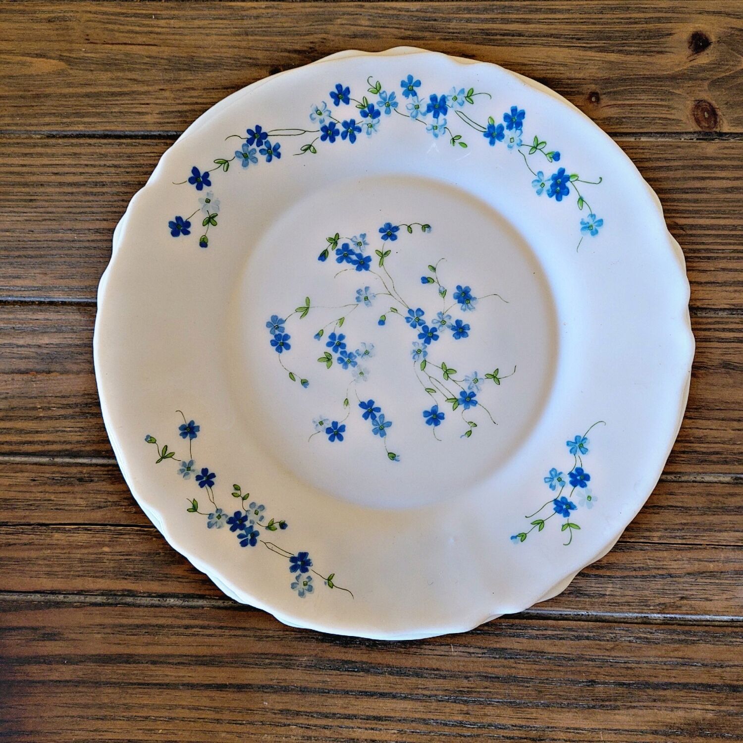 4 flat plates Arcopal Forget-me-not