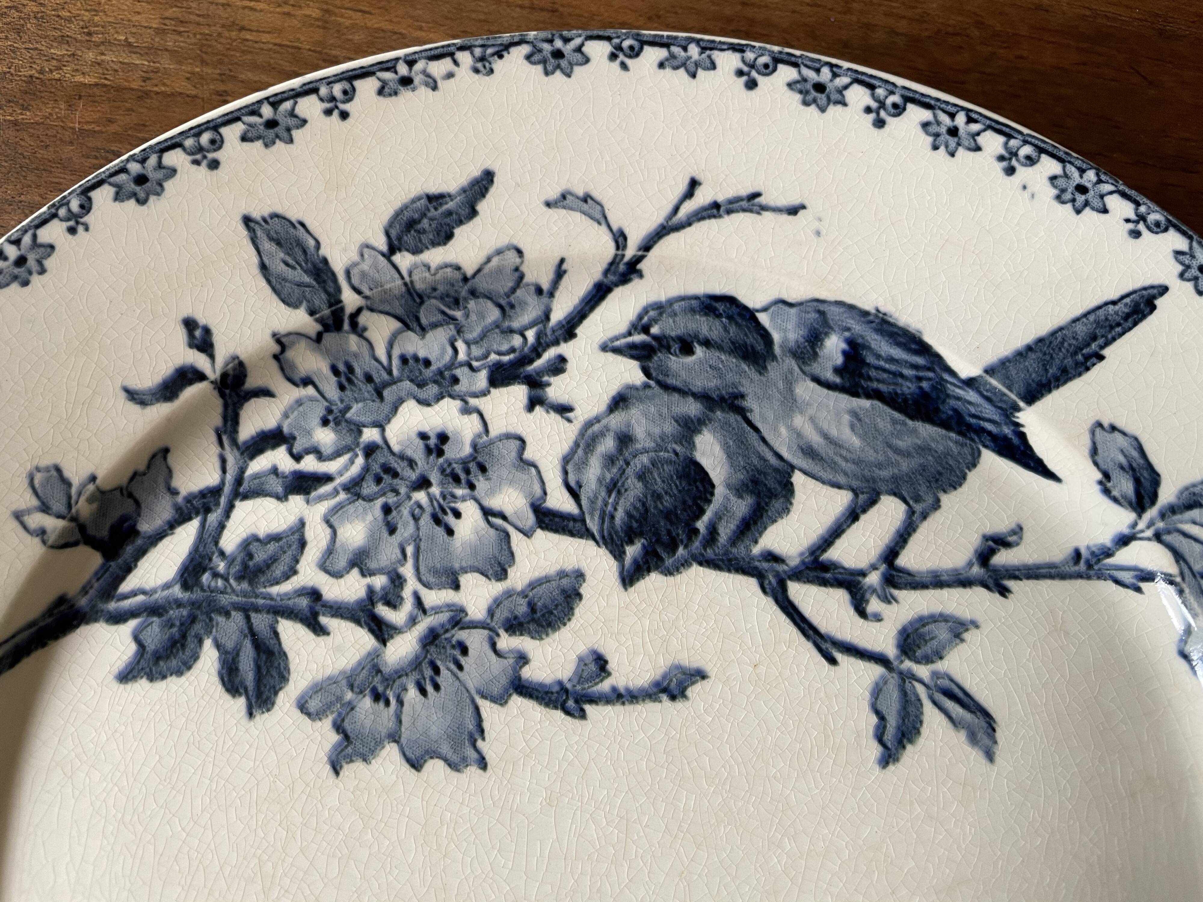 Flat plates Sarreguemines Iron Earth model Blue favorite