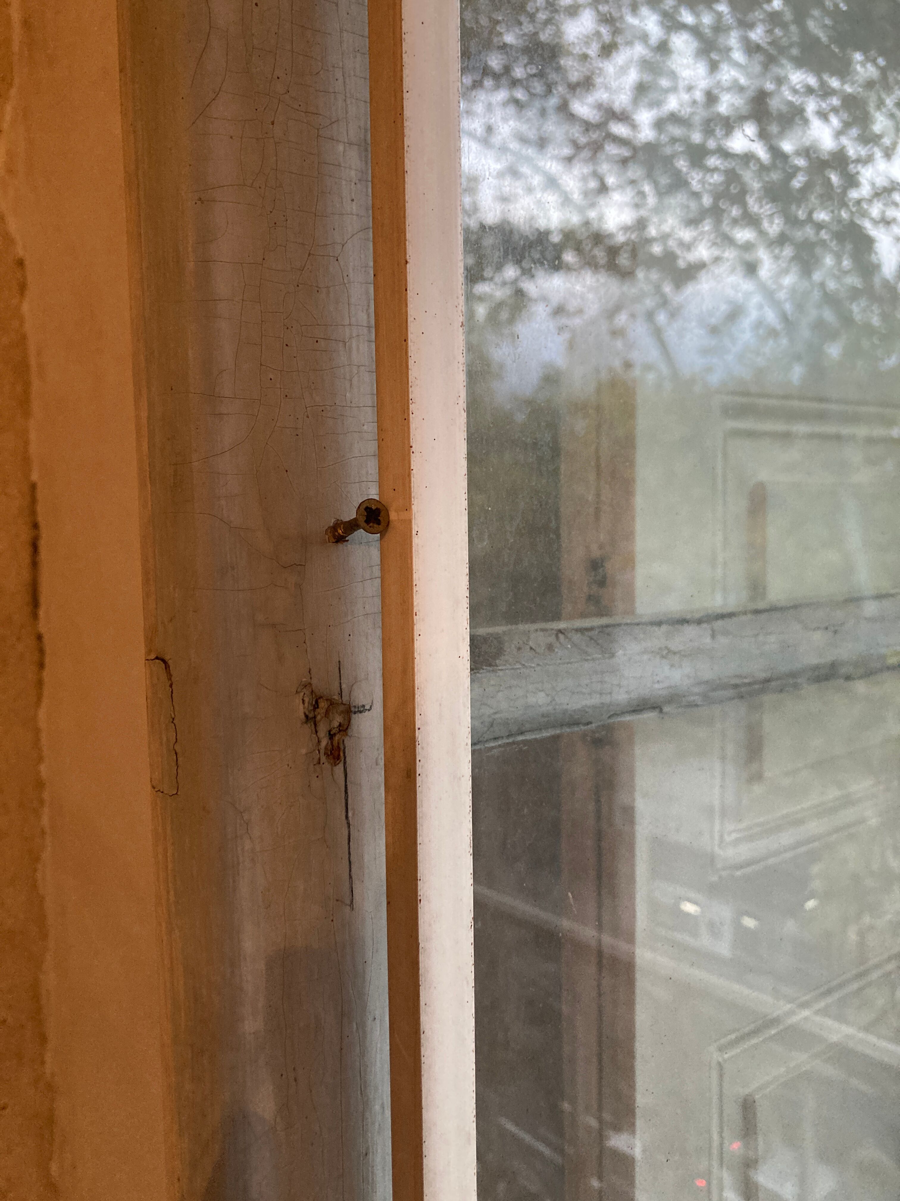 Window with interior shutters