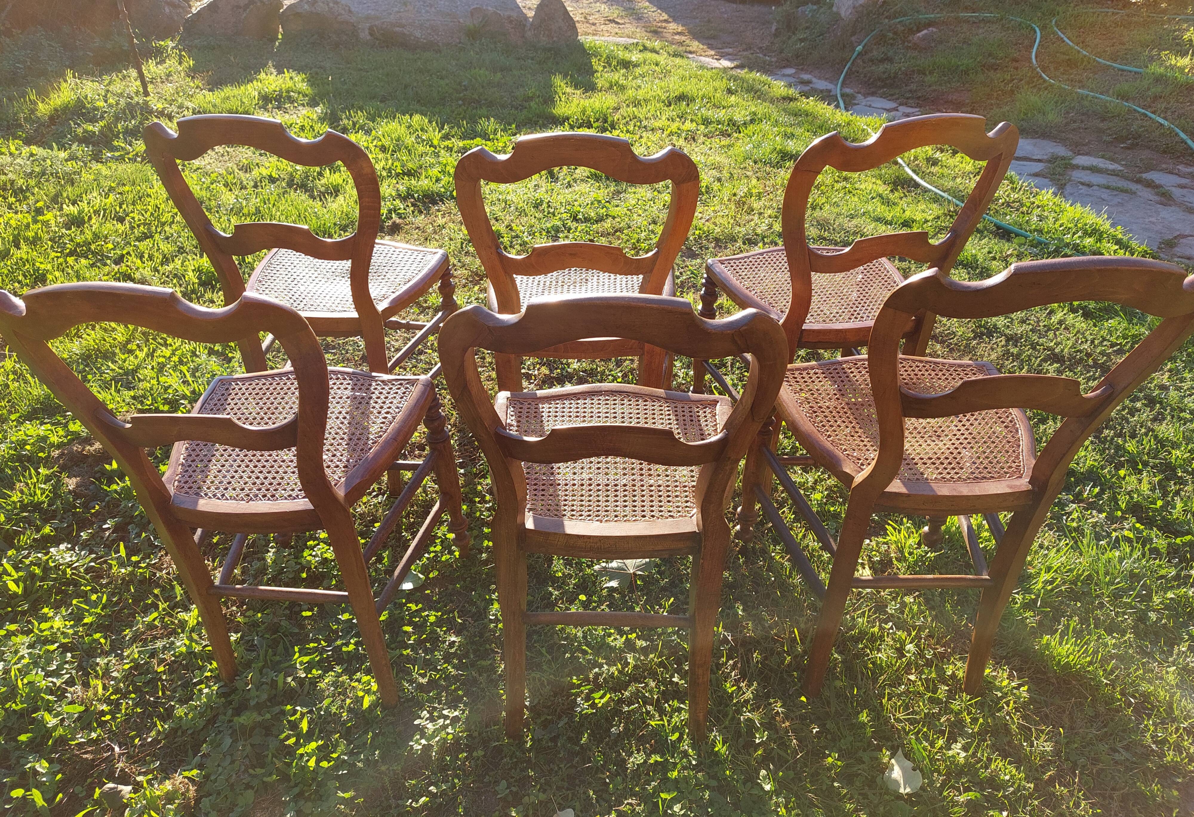 Lot of tanned chairs