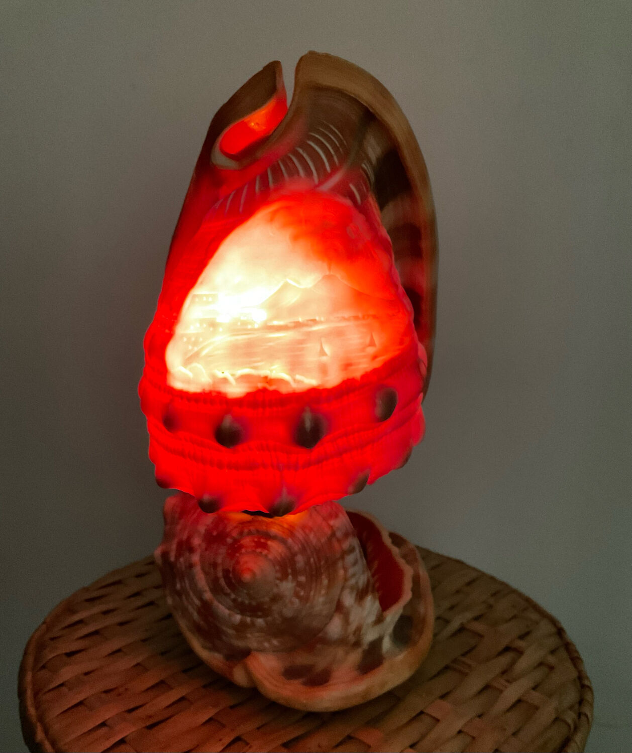 Vintage shell lamp from the 50s-60s