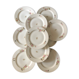 10 plates with bird's decoration in limoges porcelain