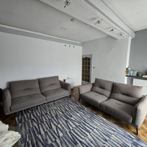 Roche bobois - lot 2 canapes