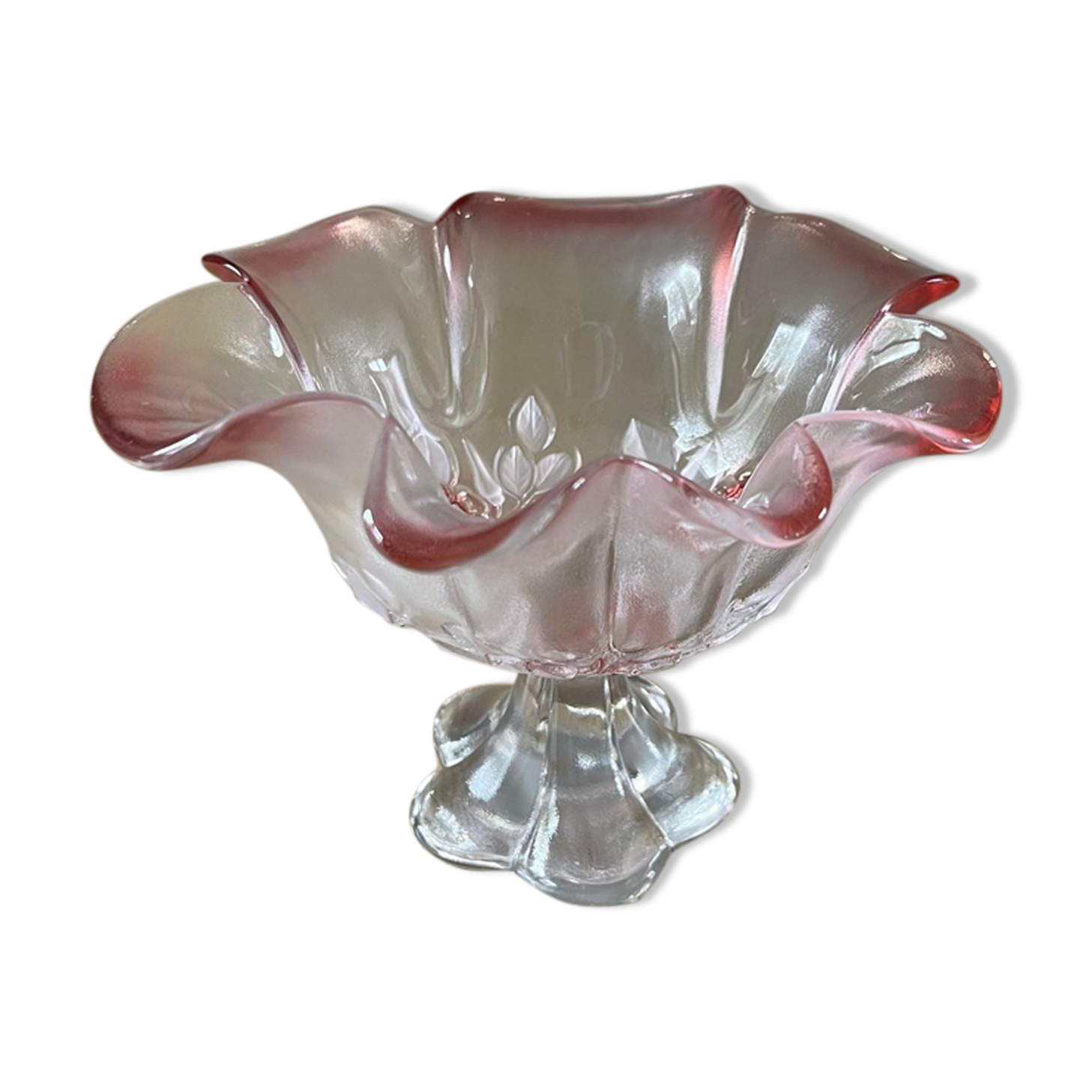 Empty glass cup pocket