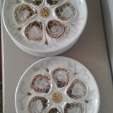 6 plates of oysters faience of Saint Amand
