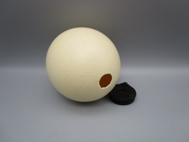 Ostrich egg on pedestal