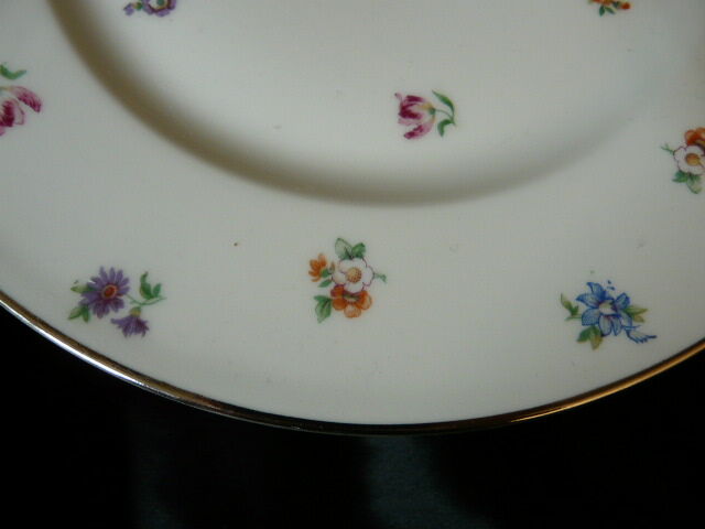 Set de 12 assiettes plates Limoges décor fleuri
