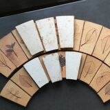 Roger Capron herbarium tiles