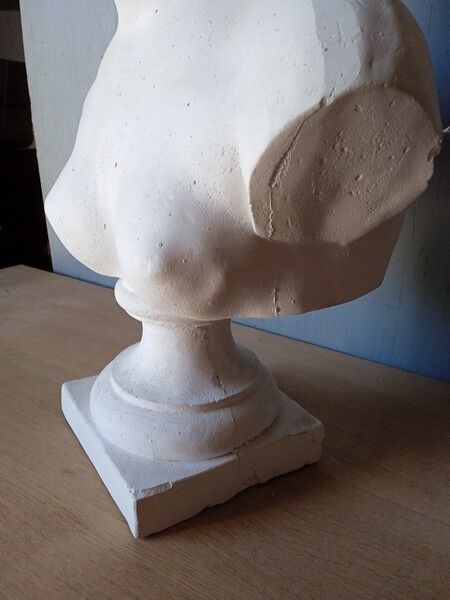 Large flat bust of Venus