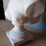 Large flat bust of Venus