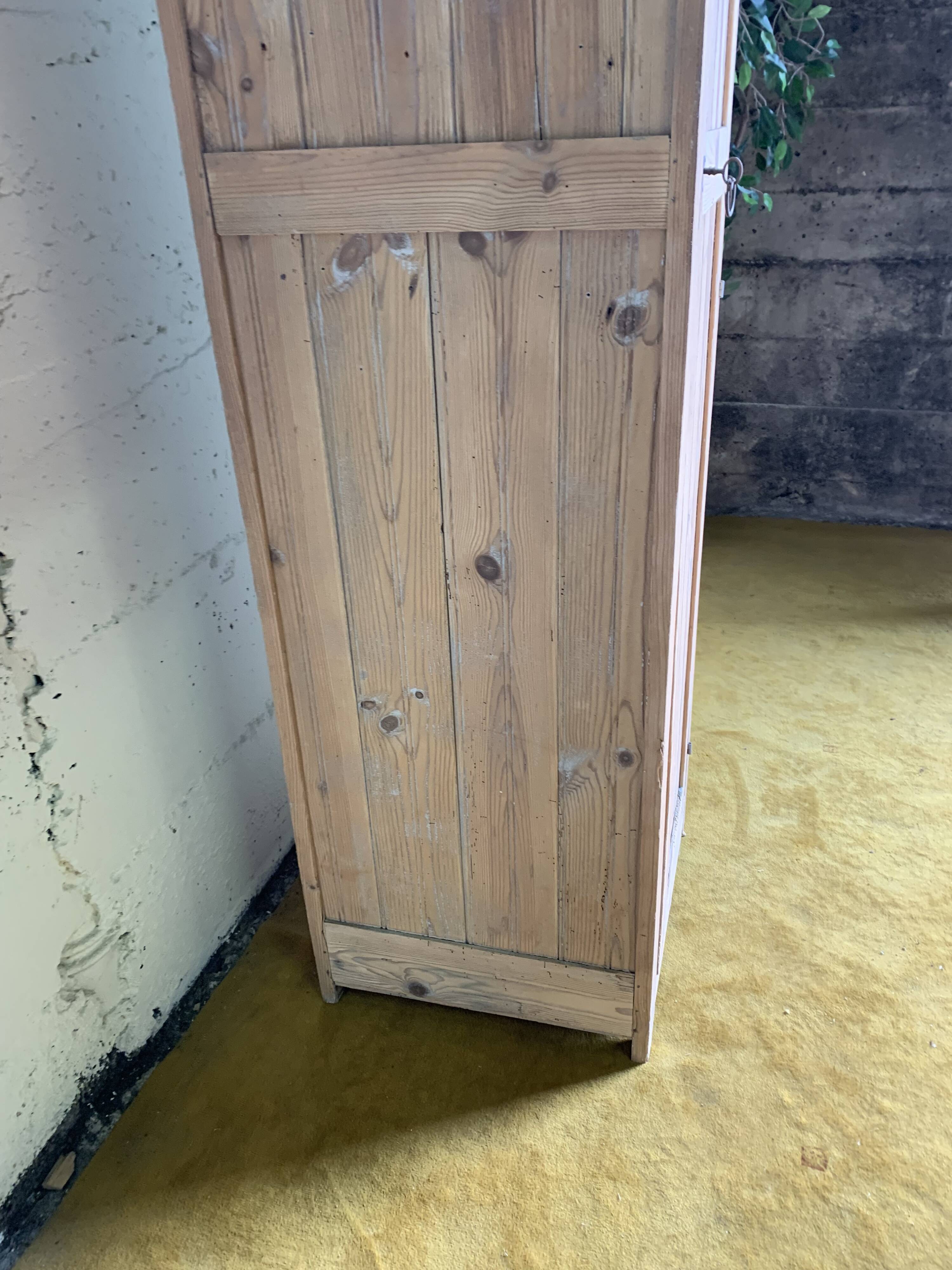 Wardrobe with 1 raw wood door