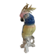 Bird Great Cockatoo Karl Ens