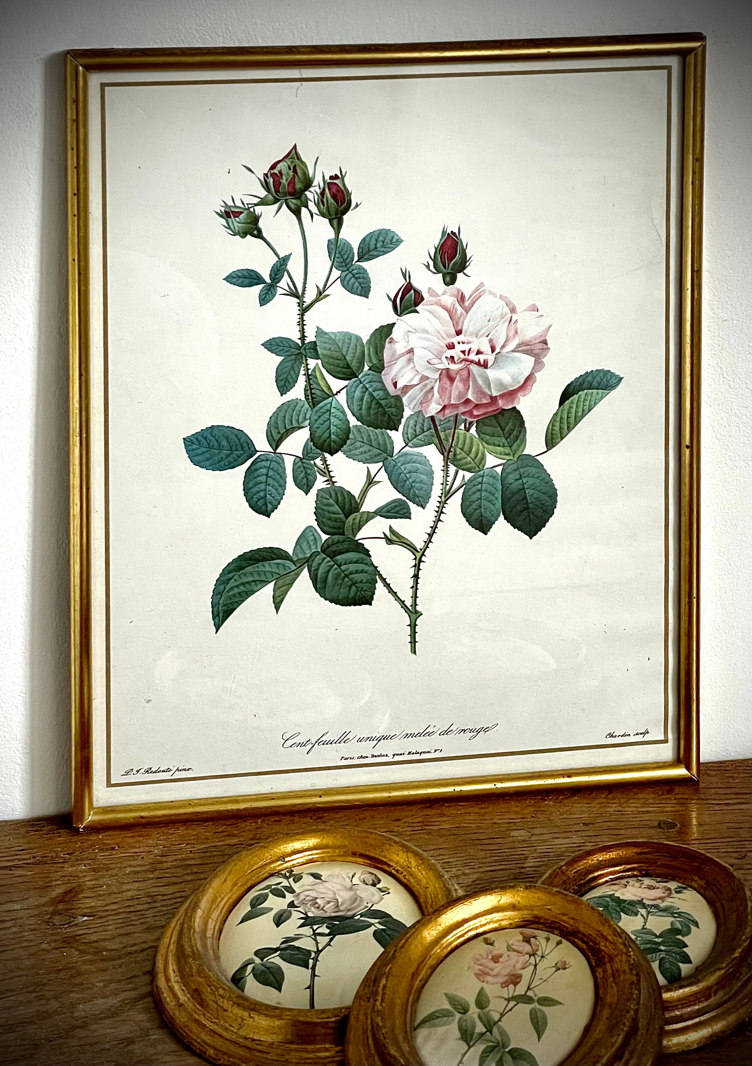 Set of two reproductions of Redouté framed in gilded wood.