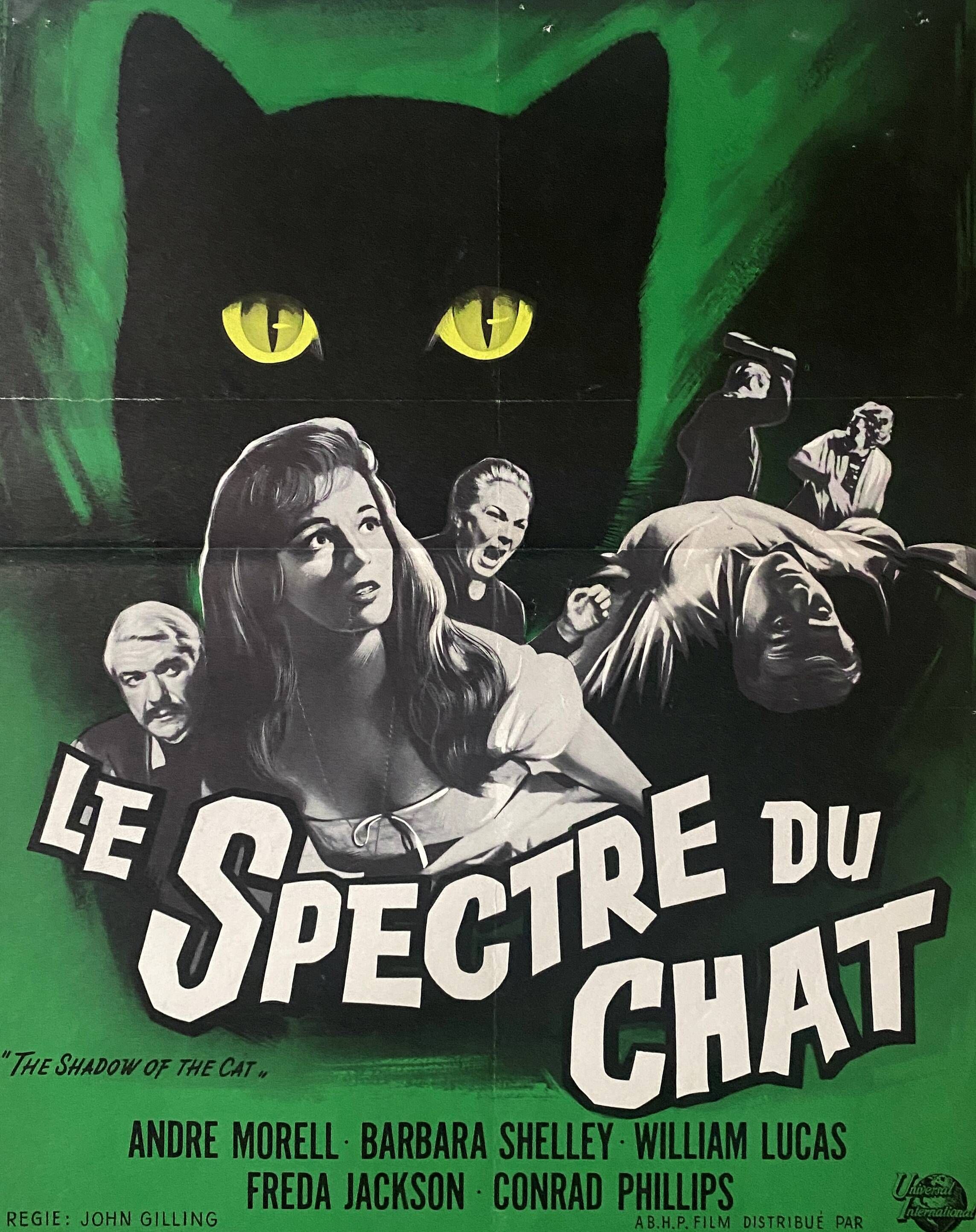 Original cinema poster "Le Spectre du Chat" Horror film 36x54cm 1961